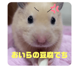 722563810