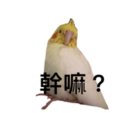 722568364