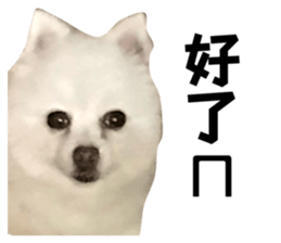 722595518