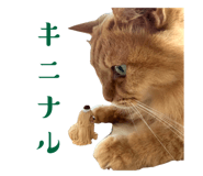 722612335