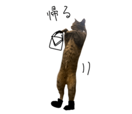 722612613