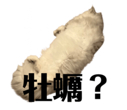 722620541