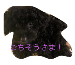 722628010