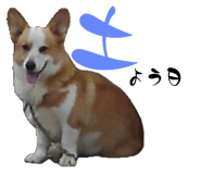 722659020