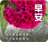 722663104