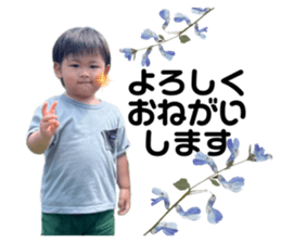 722671311