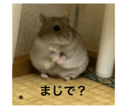 722676246