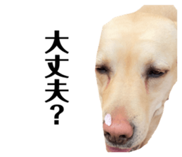 722686783