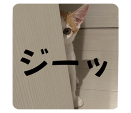 722693066