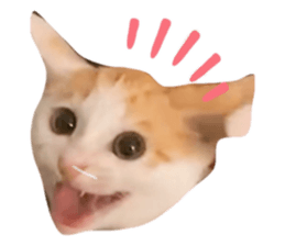 722693078