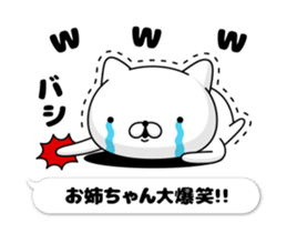 72273905