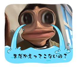 722745809
