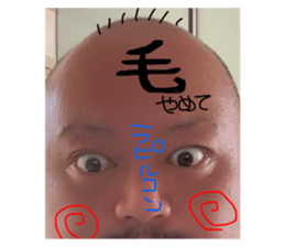 722753684