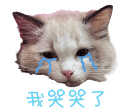 722756644