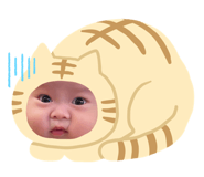 722782127