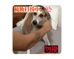 722786484