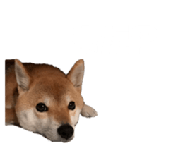 722791837