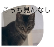 722806505