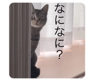 722806509