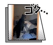 722806510