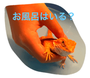722824129
