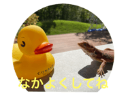 722824132
