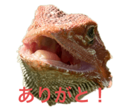 722824135