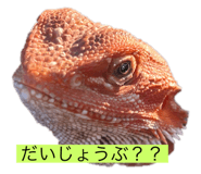 722824136