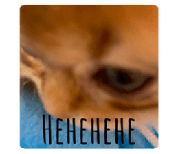 722827551