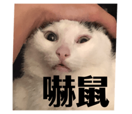 722832452