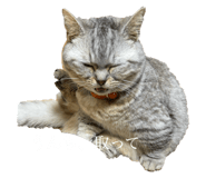 722876691