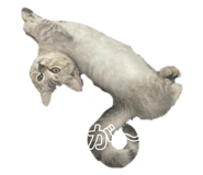 722876692