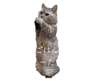 722876694