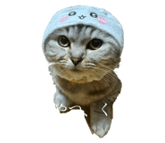 722876695