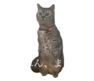 722876696