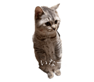 722876697