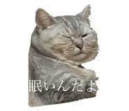 722876701