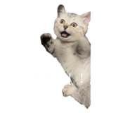 722876703