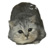 722876707
