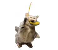 722876709