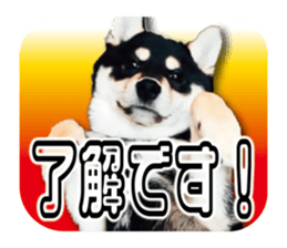 722885469