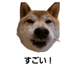 722910811
