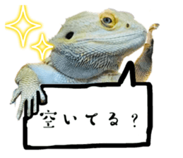722937944