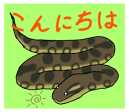 722955242