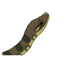 722955256