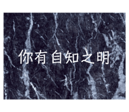 72295552