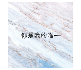 72295558