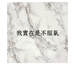 72295564