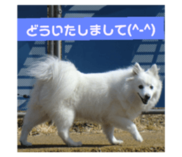 72296072