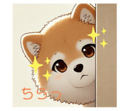 722968116